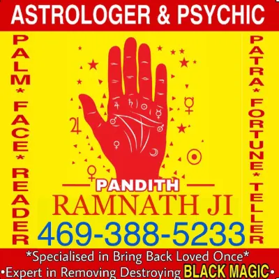 Indian Astrologer & Spiritual Healer