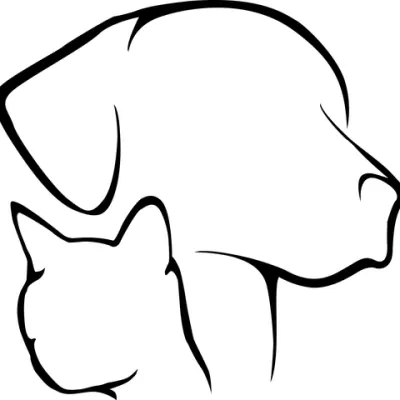 Farmington Animal Hospital