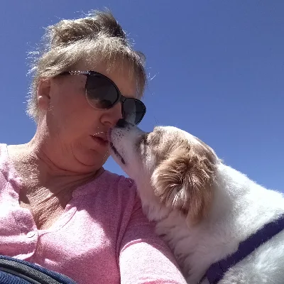 Lucky Pet At Home Pet Services