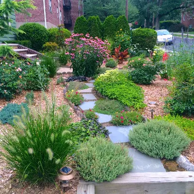 DC Freeman LLC-Landscape Design & Install Contractors