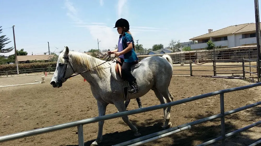 Lakewood Equestrian Center