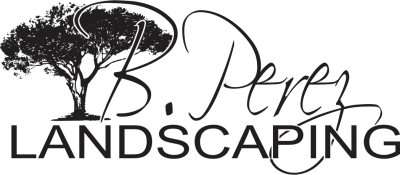 B Perez Landscaping