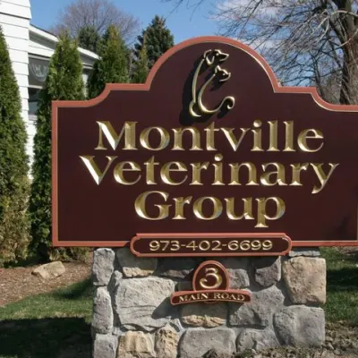 Montville Veterinary Group