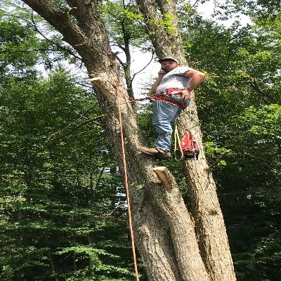 B&J Tree Service