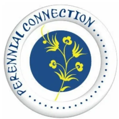 Perennial Connection