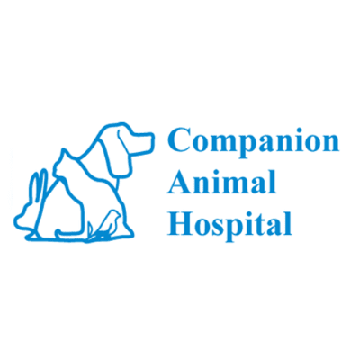Companion Animal Hospital