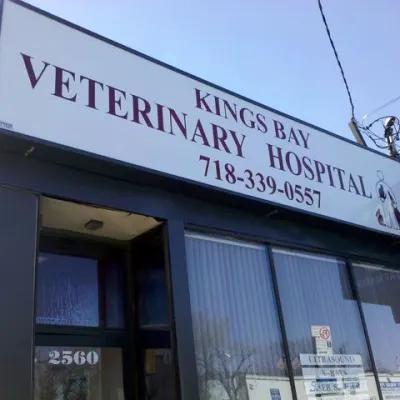 Kings Bay Veterinary Group