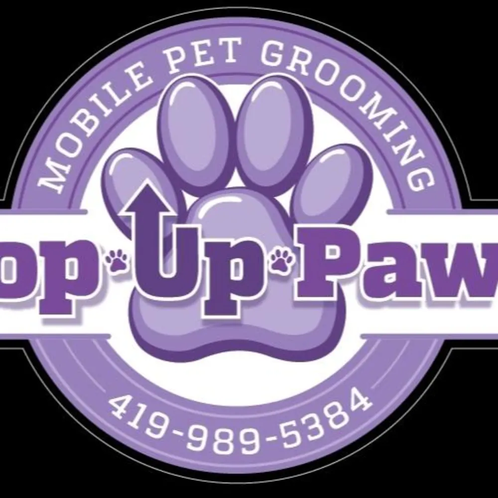 Pop Up Paws