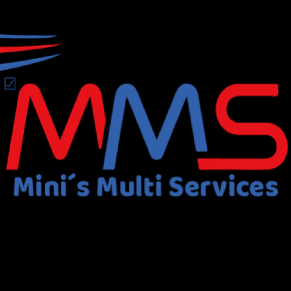 Minis Multi Services