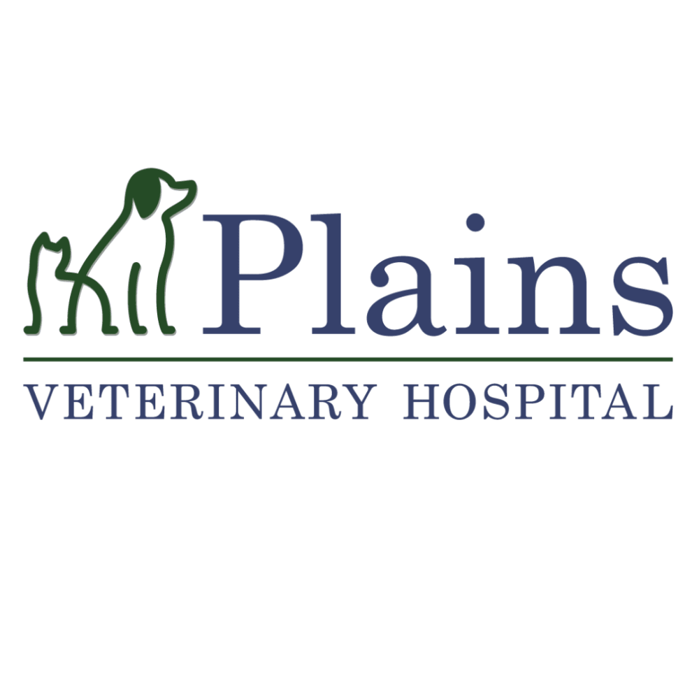 Plains Veterinary Hospital