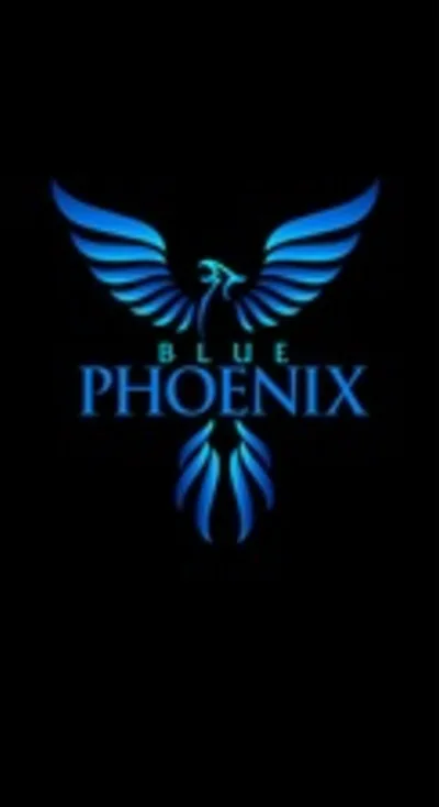 Phoenix Electric Group, Inc.
