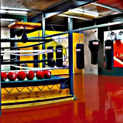 Punch Boxing For Fitness