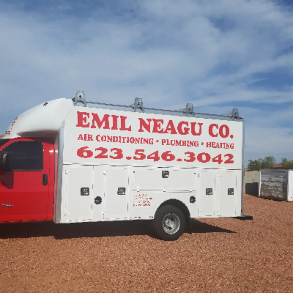 Emil Neagu Co
