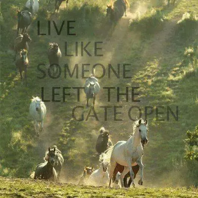 Speranza Ranch Counseling