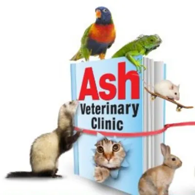Ash Veterinary Clinic