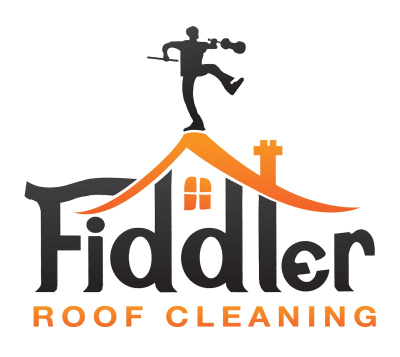 Fiddler Roof Cleaning