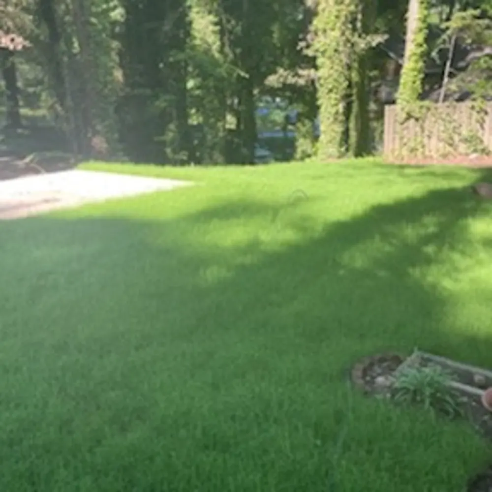 K&D Landscaping&Handyman Services