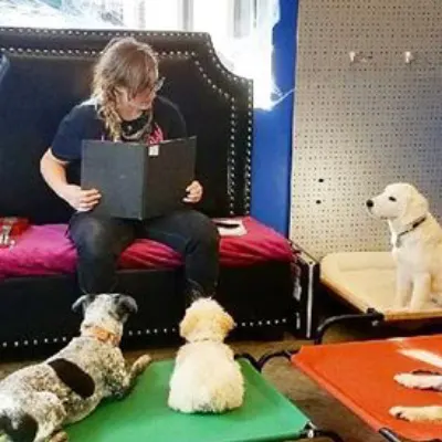 Sit Happens Dog Training
