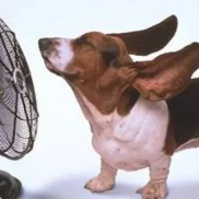 License To Chill Air Conditioning LLC