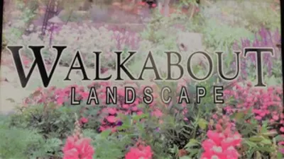 Walkabout Landscape