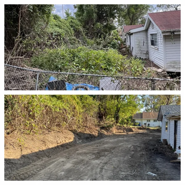 Before and after pics of brush removal and leveling application 