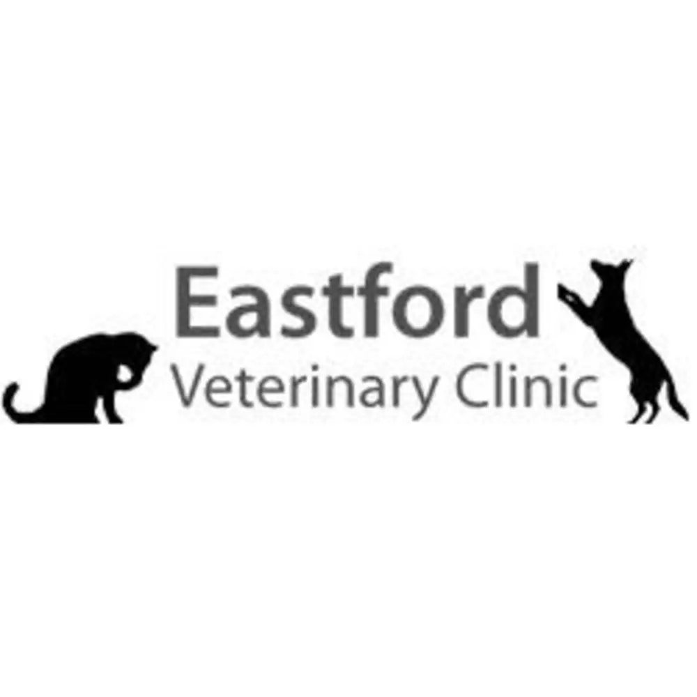 Eastford Veterinary Clinic