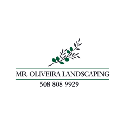 Mr. OLiveira Landscaping