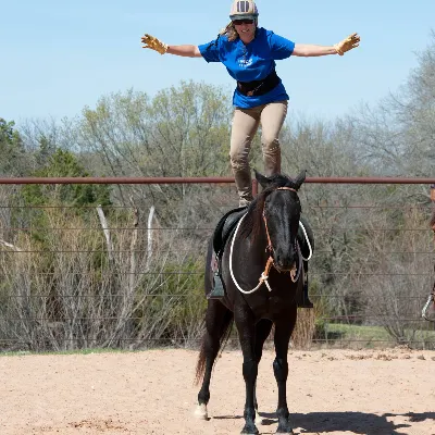 Lake Lavon Stables