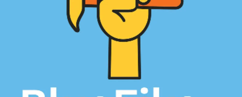 BlueFiks LLC