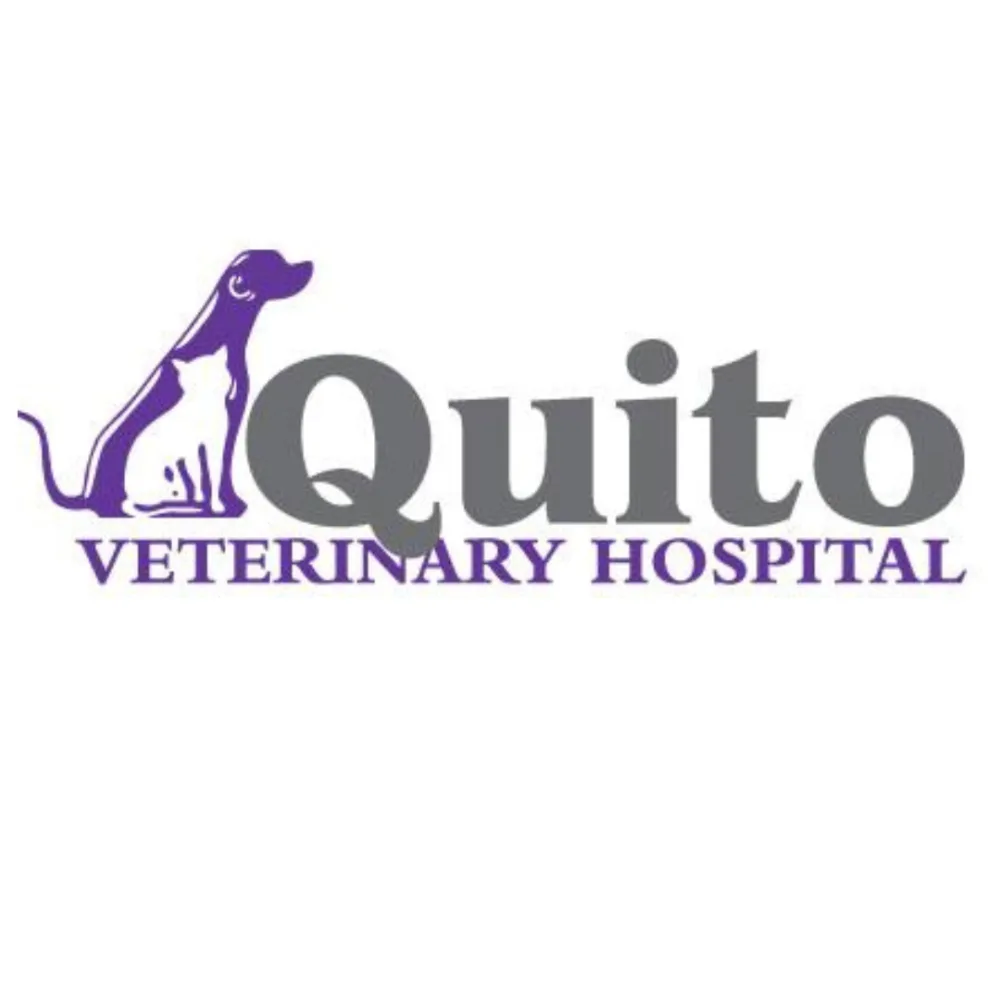 Quito Veterinary Hospital