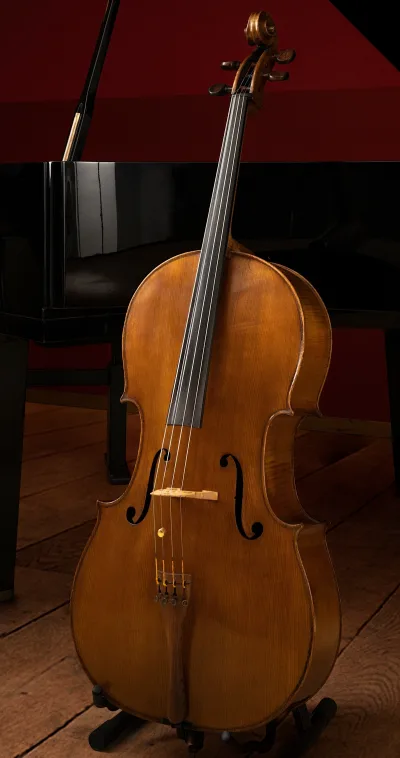 Cello Lessons With Dorothy