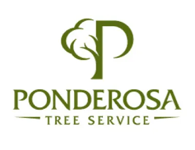 Ponderosa Tree Service