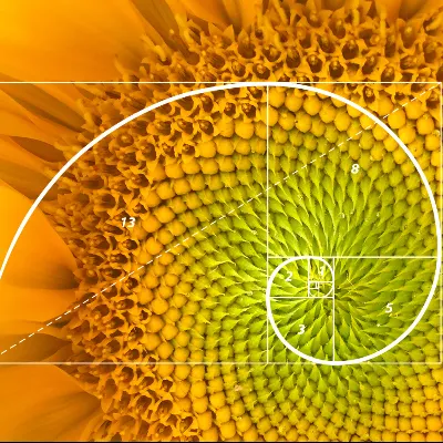 Fibonacci Tutors