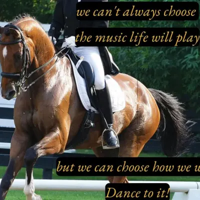 Paddock Hills Equestrian