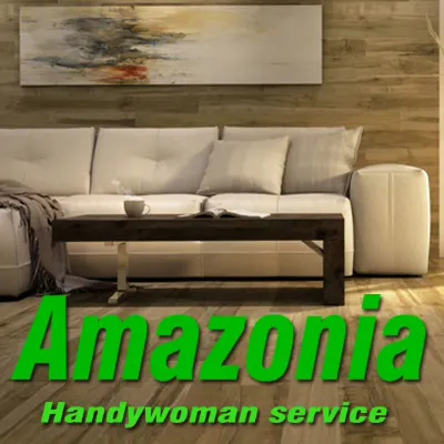 Amazonia Inc