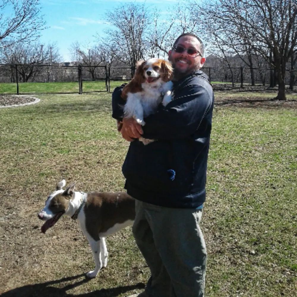 Kevin's Pet Services (behavioral, Training, Grooming, Etc)