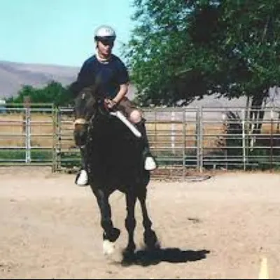 Just Right Equestrian