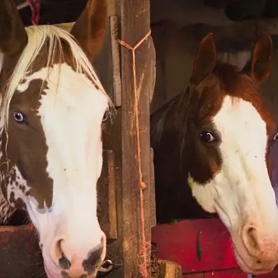 Southport Equestrian Center