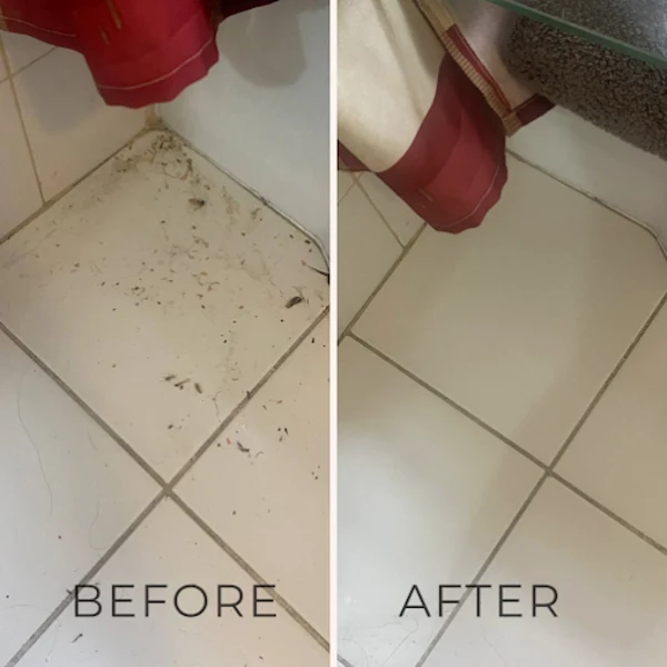 Floor Cleaning