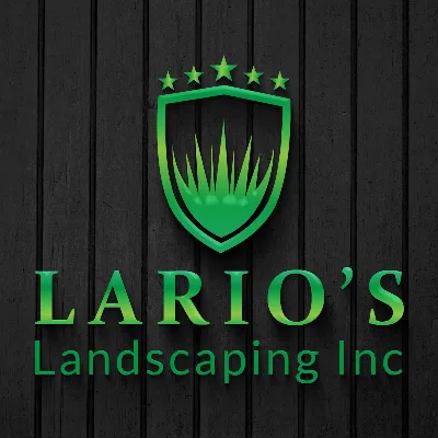 Lario’s Landscaping Inc