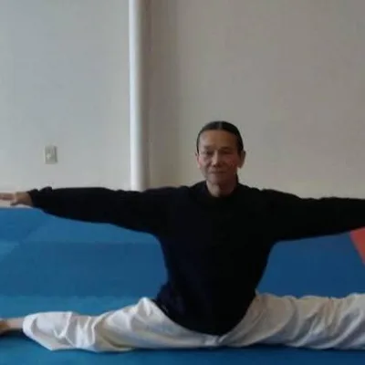 Karate , Taekwondo, Hapkido