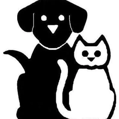 Shannon Parkway Animal Hospital