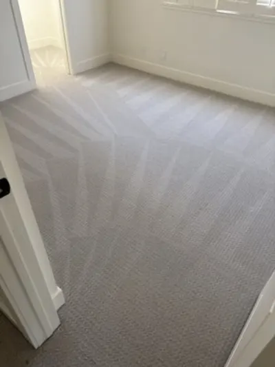Revive Carpet Care