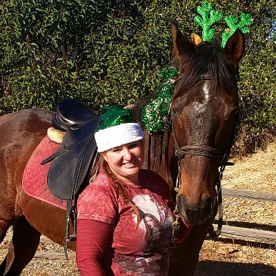 From The Ground Up Riding Lessons