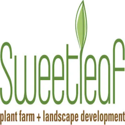 Sweetleaf