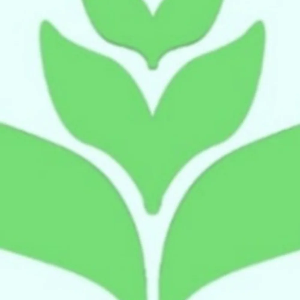 RDV LANDSCAPING