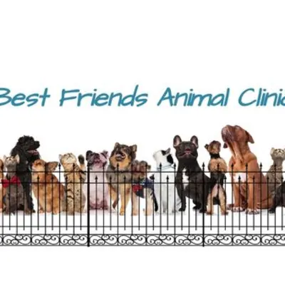 Best Friends Animal Clinic