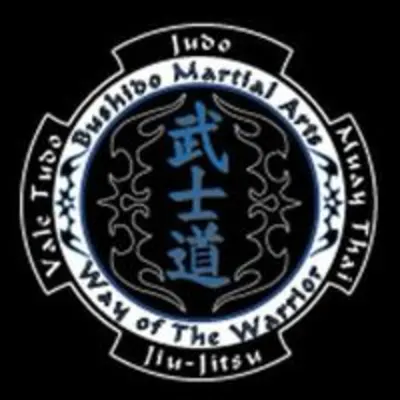Bushido Martial Arts Academy