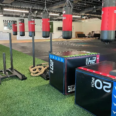 BOX IQ FITNESS + KNOWLEDGE