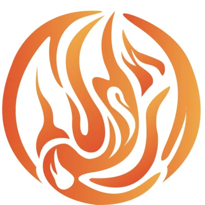 Fireplace Solutions & Services